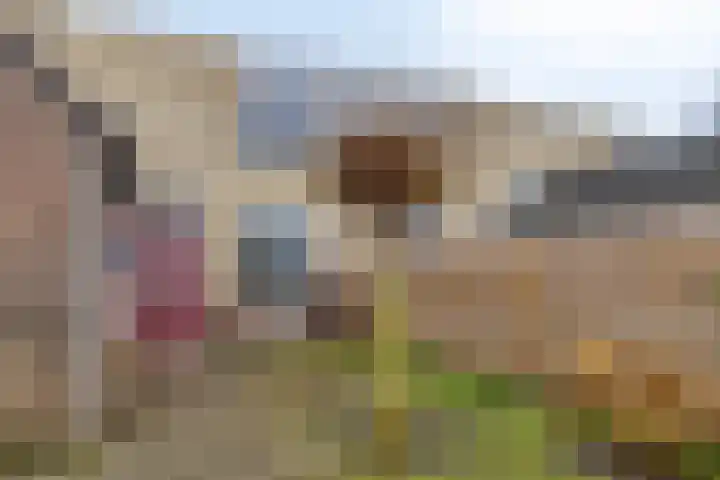 Braamstukken 126 in Eelde