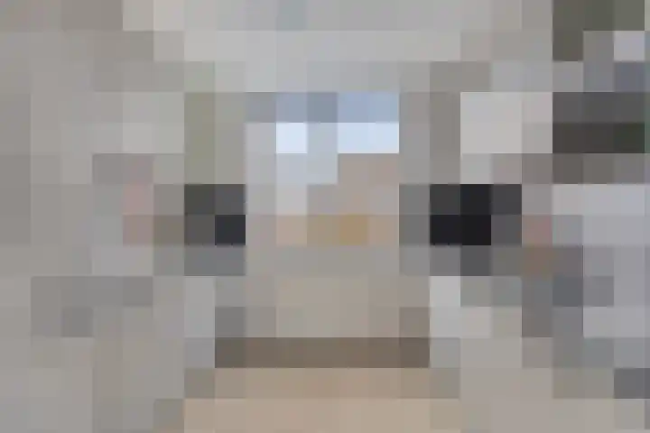 Braamstukken 126 Eelde thumbnail 4