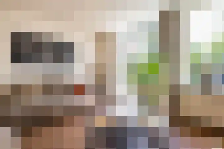 Braamstukken 128 Eelde thumbnail 11