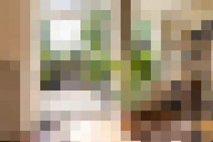 Braamstukken 128 Eelde thumbnail 12