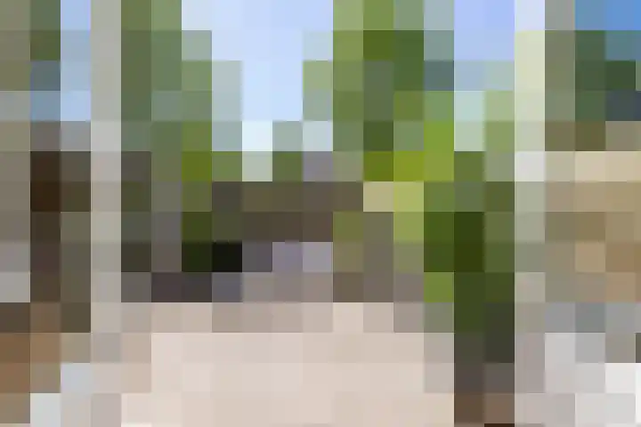 Braamstukken 128 Eelde thumbnail 13