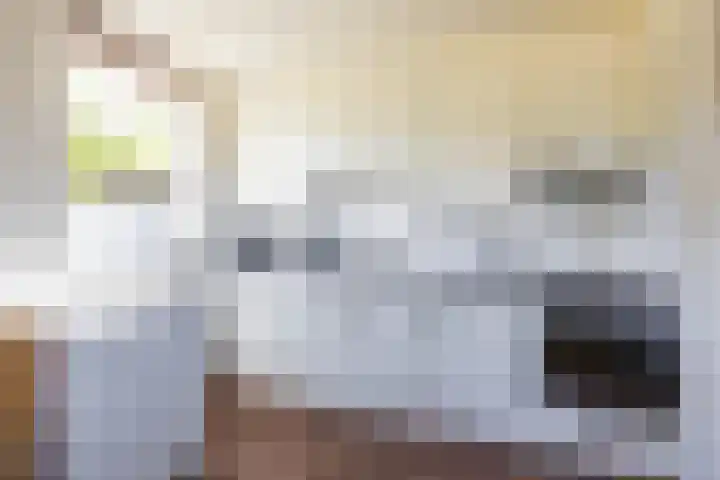 Braamstukken 128 Eelde thumbnail 20