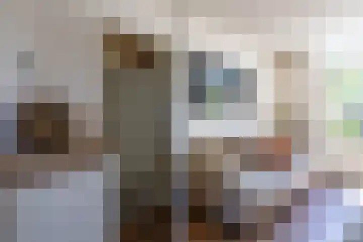 Braamstukken 128 Eelde thumbnail 22
