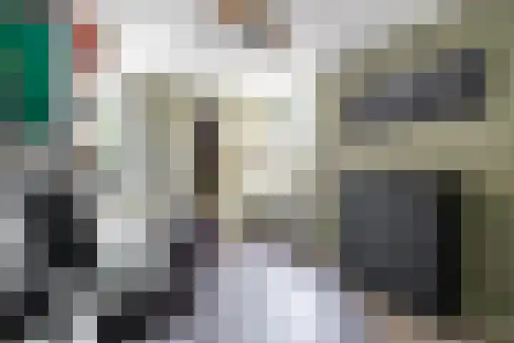 Braamstukken 128 Eelde thumbnail 25
