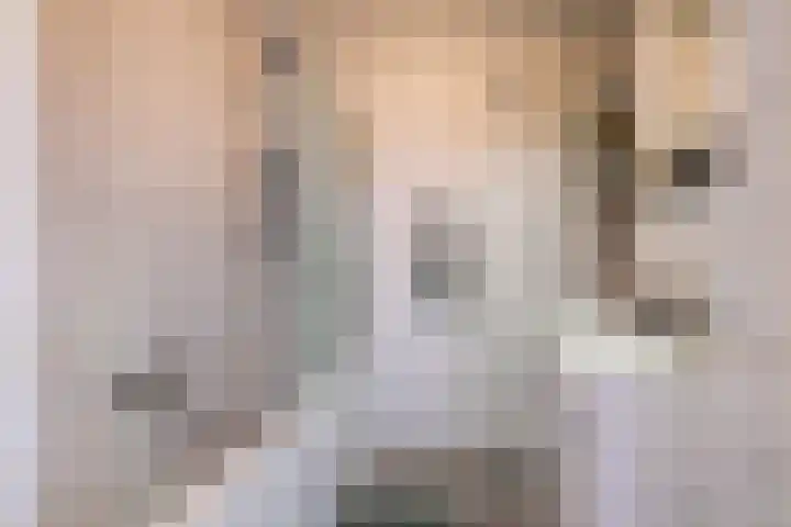 Braamstukken 128 Eelde thumbnail 27