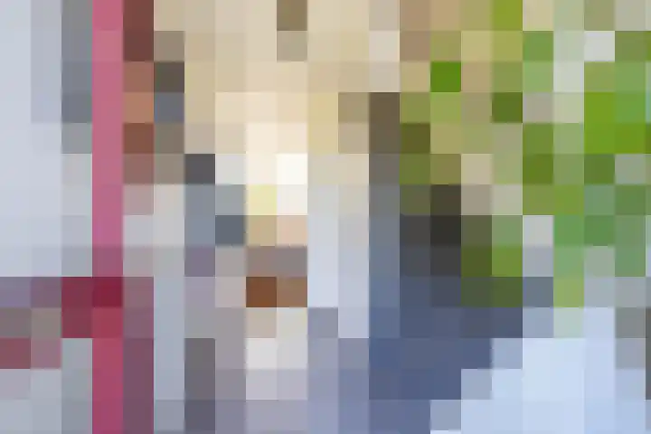 Braamstukken 128 Eelde thumbnail 33