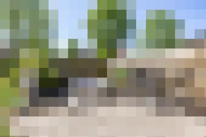 Braamstukken 128 Eelde thumbnail 44