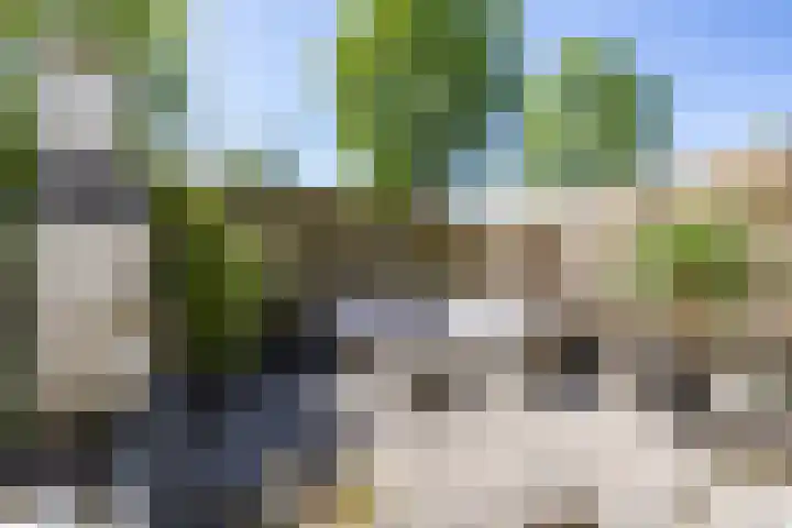 Braamstukken 128 Eelde thumbnail 45