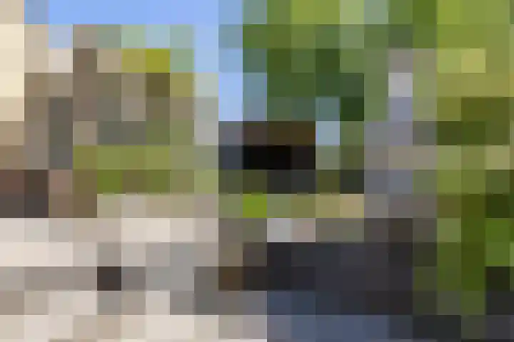 Braamstukken 128 Eelde thumbnail 46