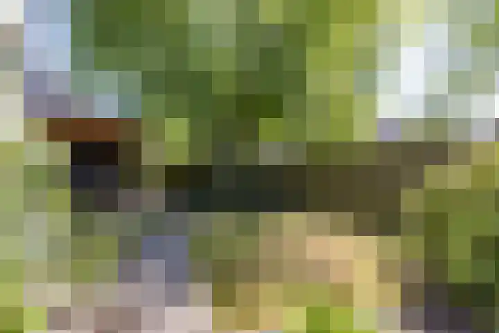 Braamstukken 128 Eelde thumbnail 47