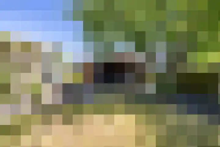 Braamstukken 128 Eelde thumbnail 48