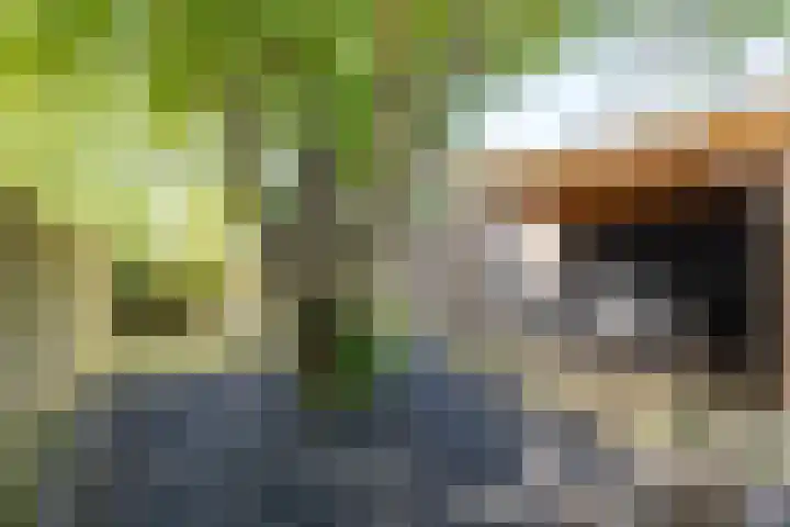 Braamstukken 128 Eelde thumbnail 49