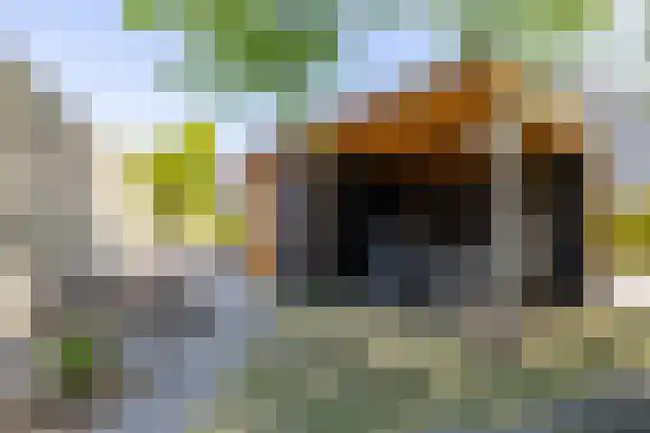 Braamstukken 128 Eelde thumbnail 50