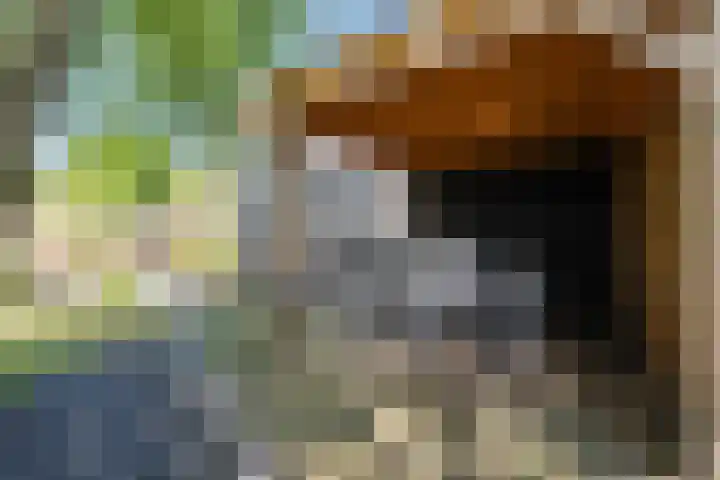 Braamstukken 128 Eelde thumbnail 51