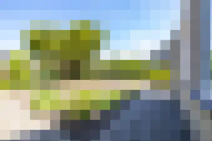 Braamstukken 128 Eelde thumbnail 54