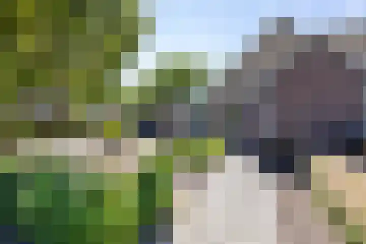 Braamstukken 128 Eelde thumbnail 55