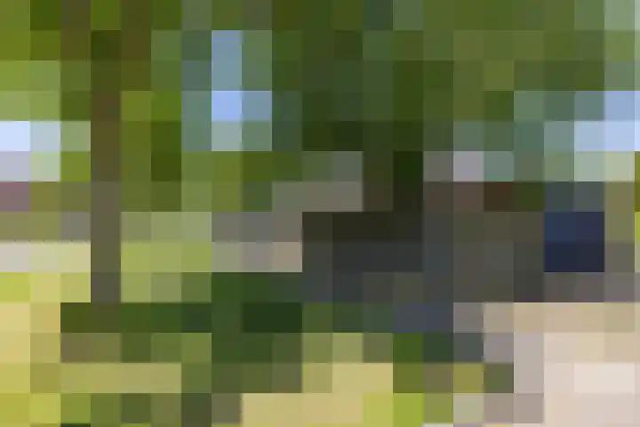 Braamstukken 128 Eelde thumbnail 58