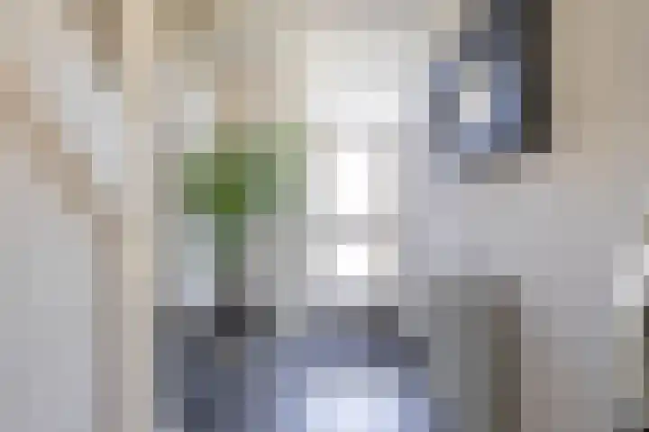 Braamstukken 128 Eelde thumbnail 6