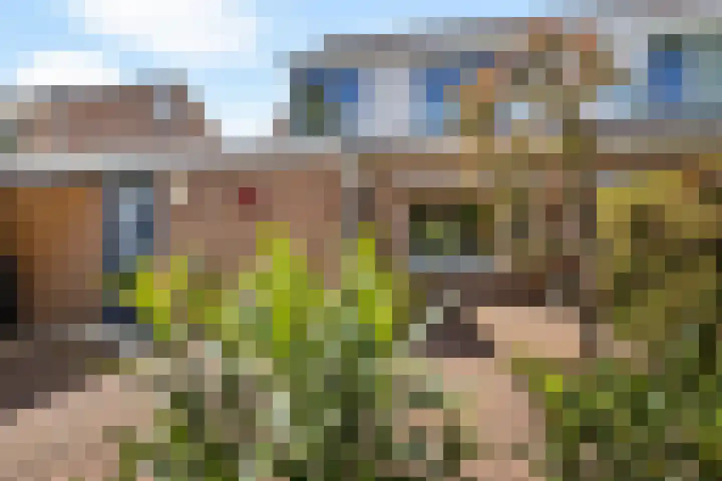 Braamstukken 55 Eelde thumbnail 37