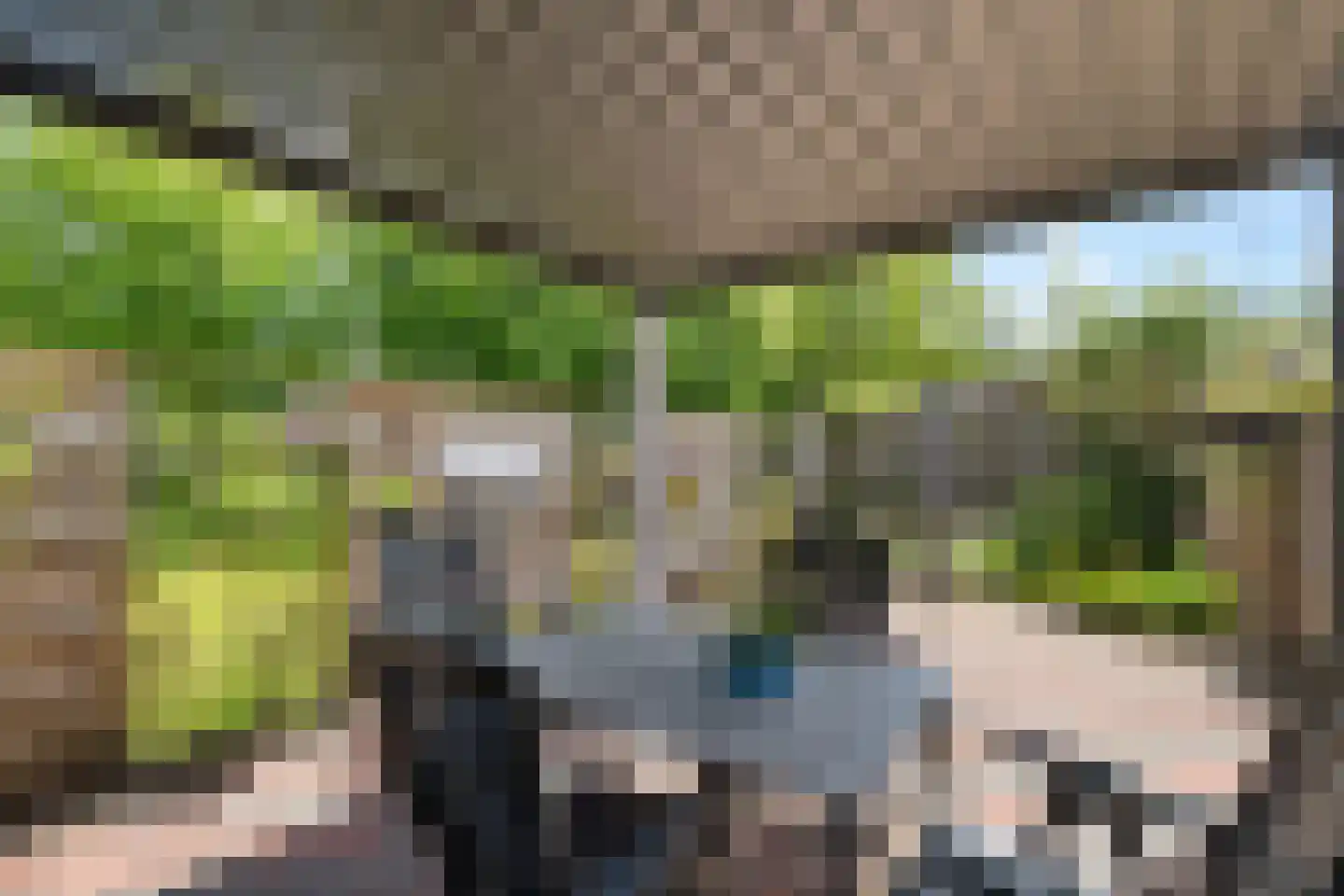 Braamstukken 55 Eelde thumbnail 38