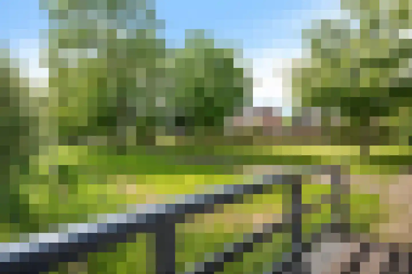 Braamstukken 55 Eelde thumbnail 39
