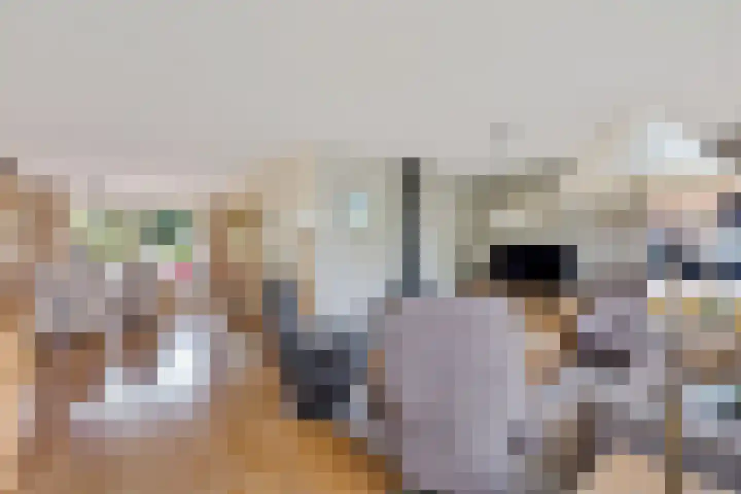 Braamstukken 55 Eelde thumbnail 7