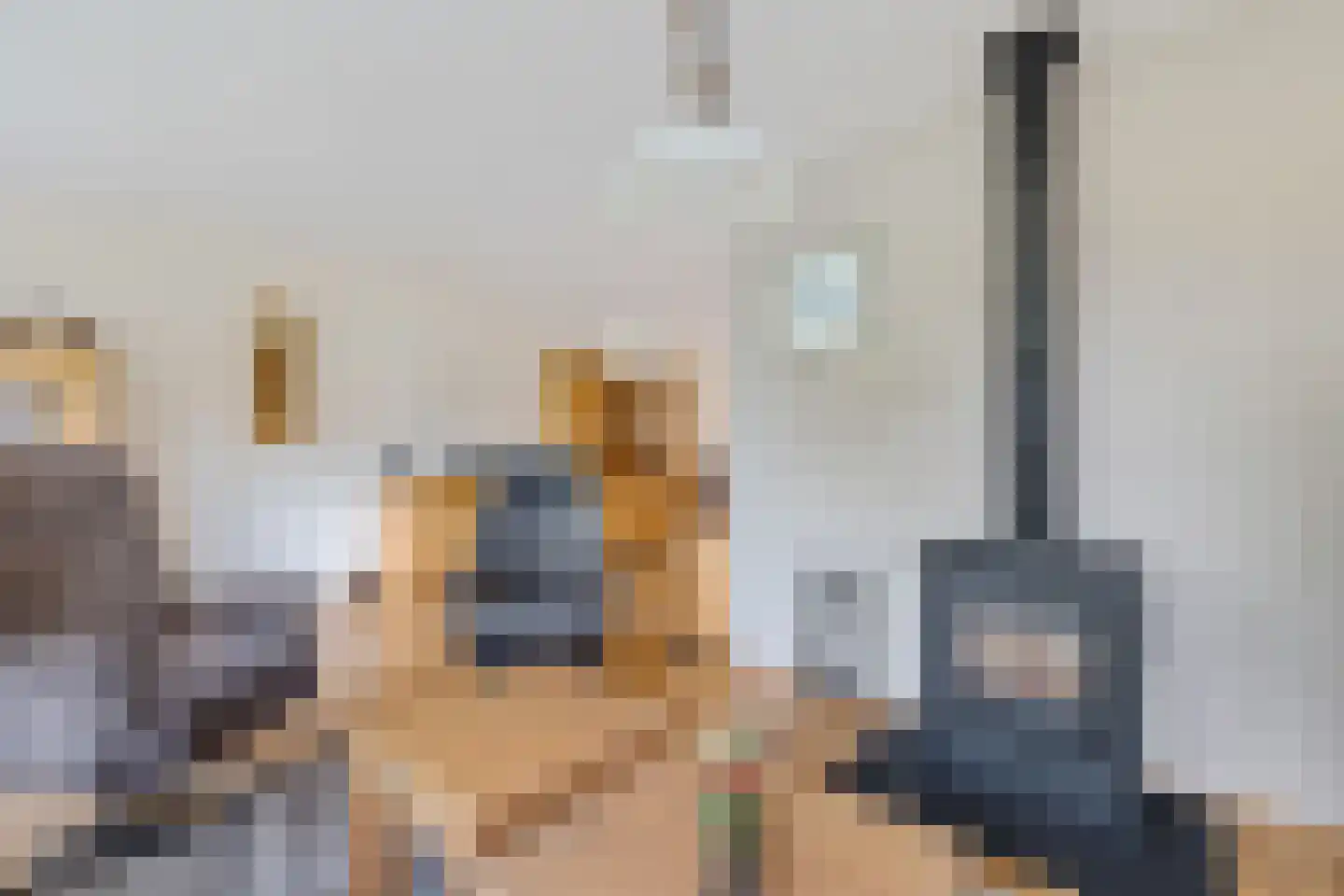 Braamstukken 55 Eelde thumbnail 8