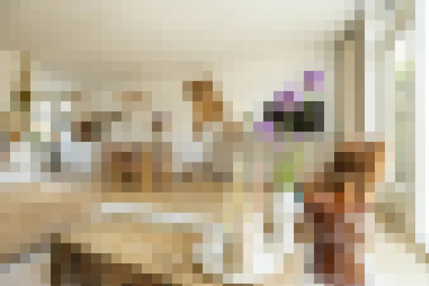 Braamstukken 82 dans Eelde