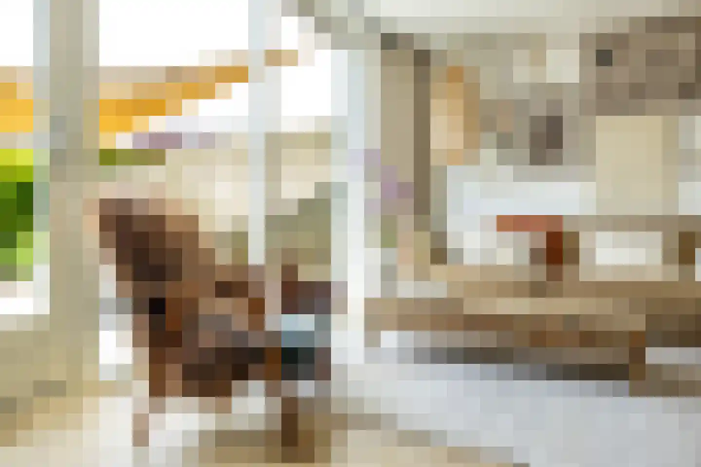 Braamstukken 82 Eelde thumbnail 11