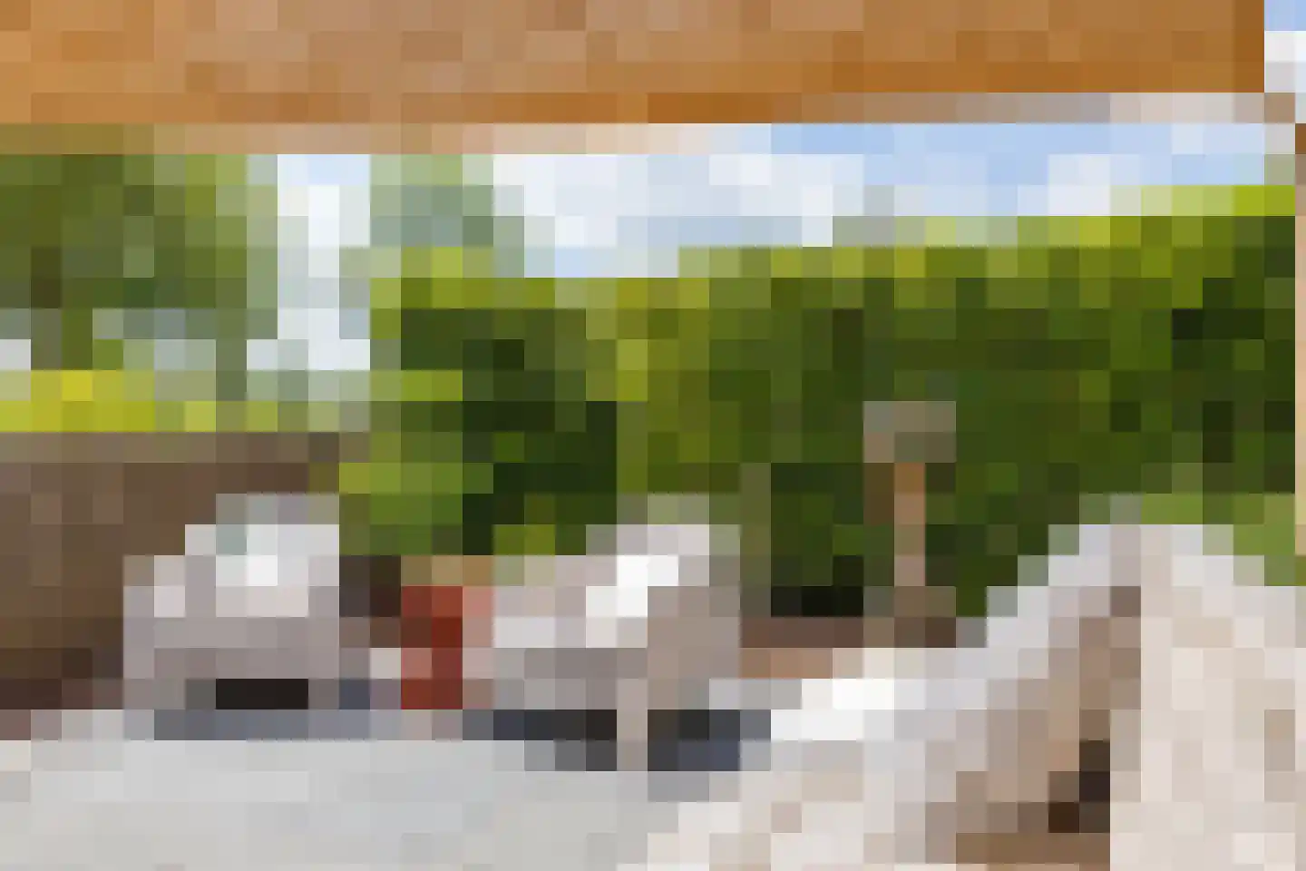 Braamstukken 82 Eelde thumbnail 27