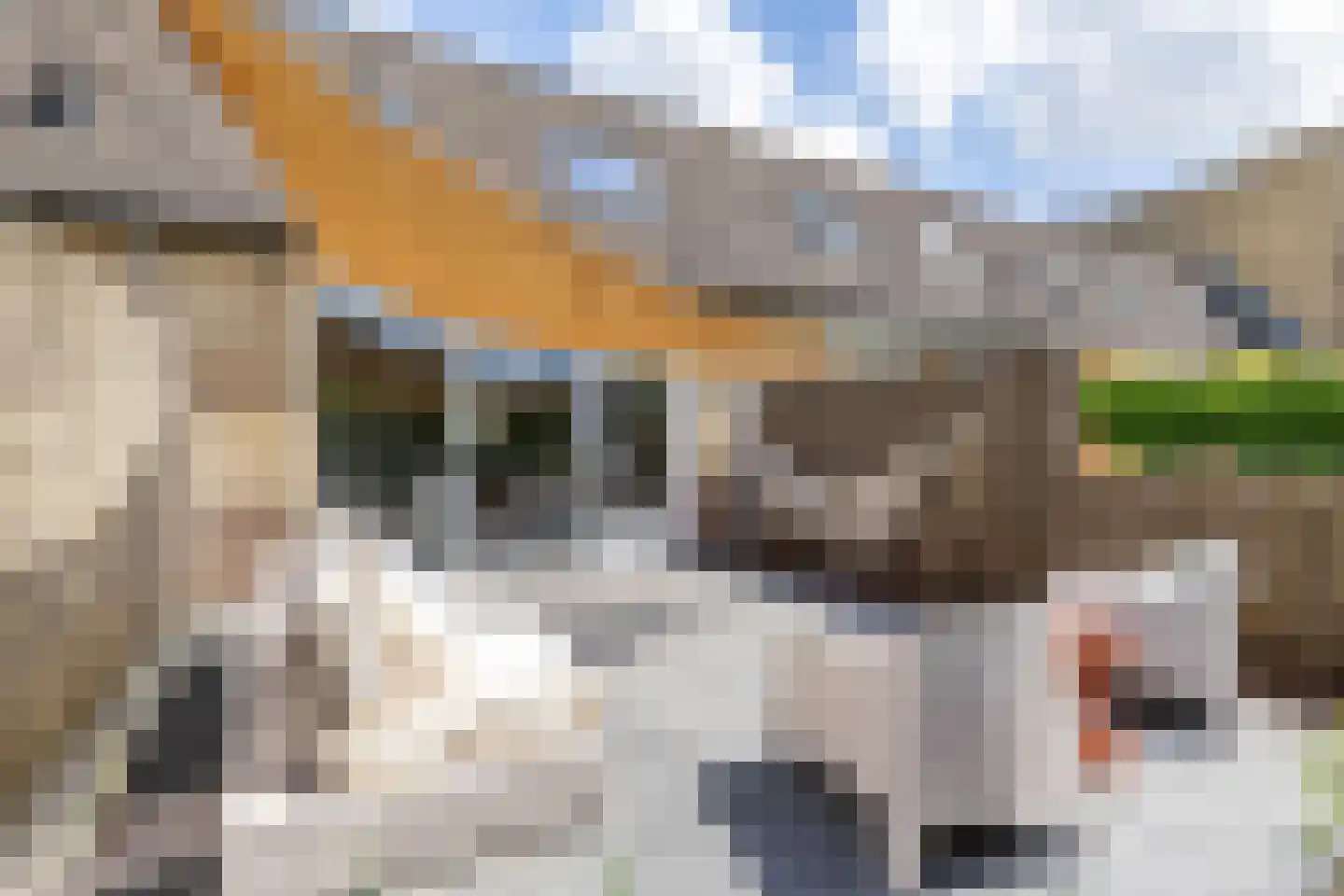Braamstukken 82 Eelde thumbnail 29
