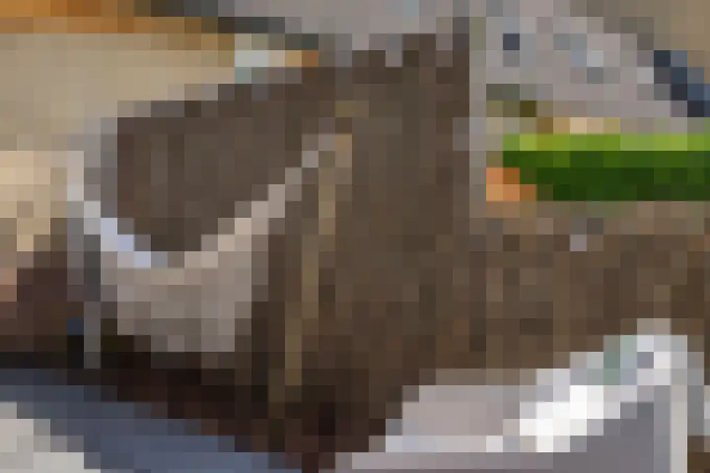 Braamstukken 82 Eelde thumbnail 30