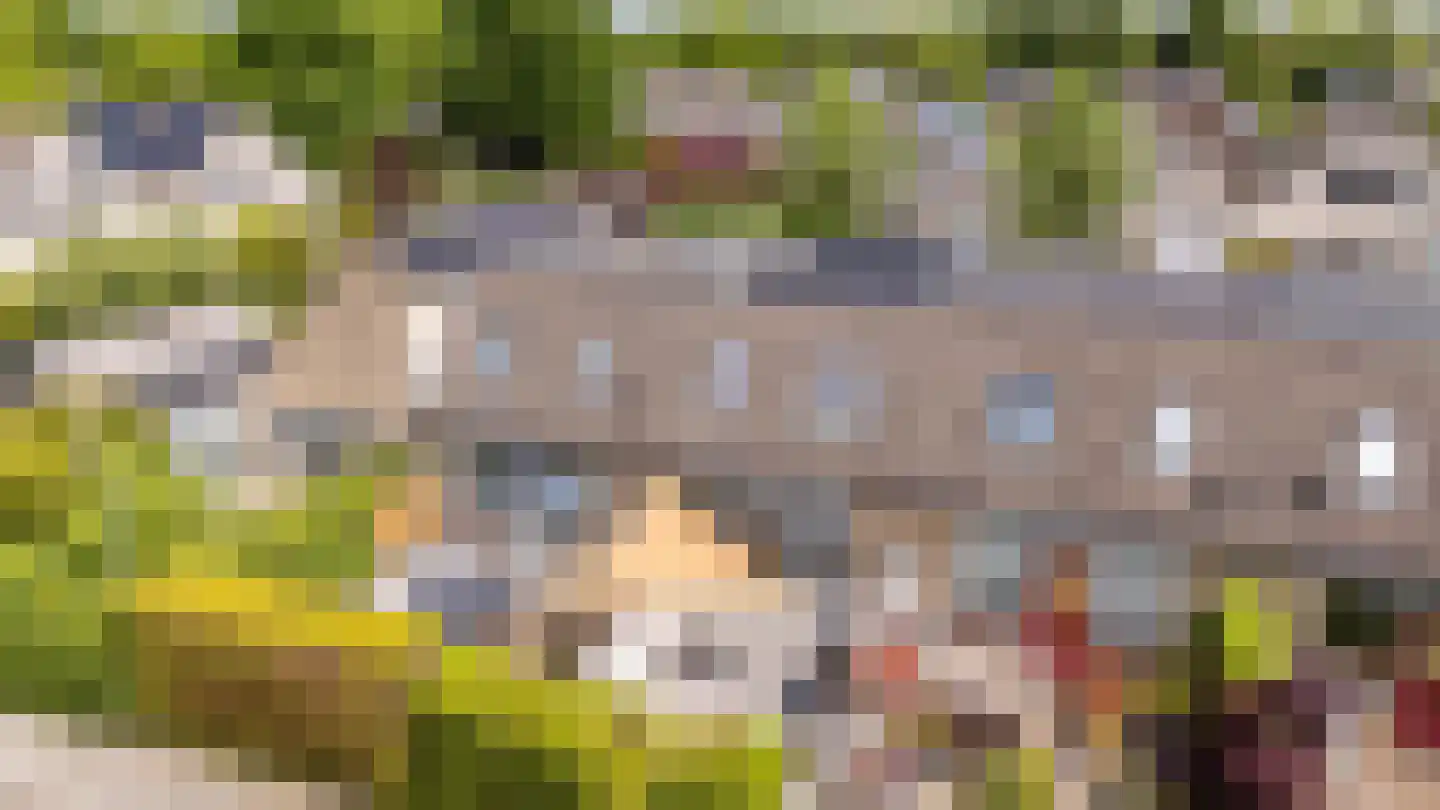 Braamstukken 82 Eelde thumbnail 31