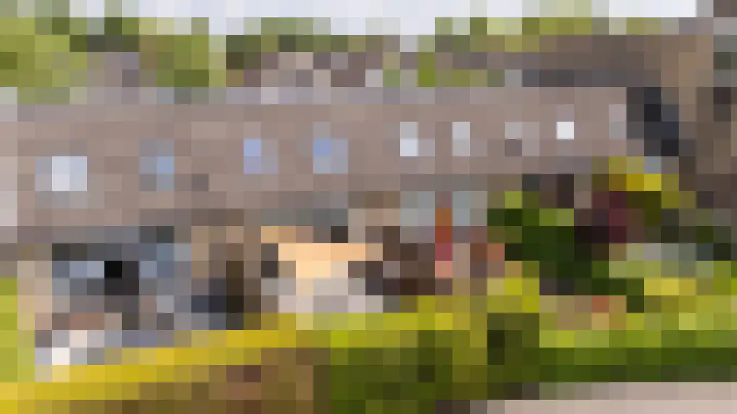 Braamstukken 82 Eelde thumbnail 32