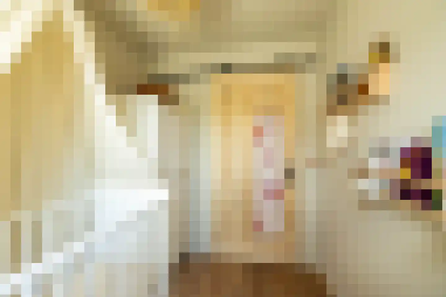 Braamstukken 82 Eelde thumbnail 41