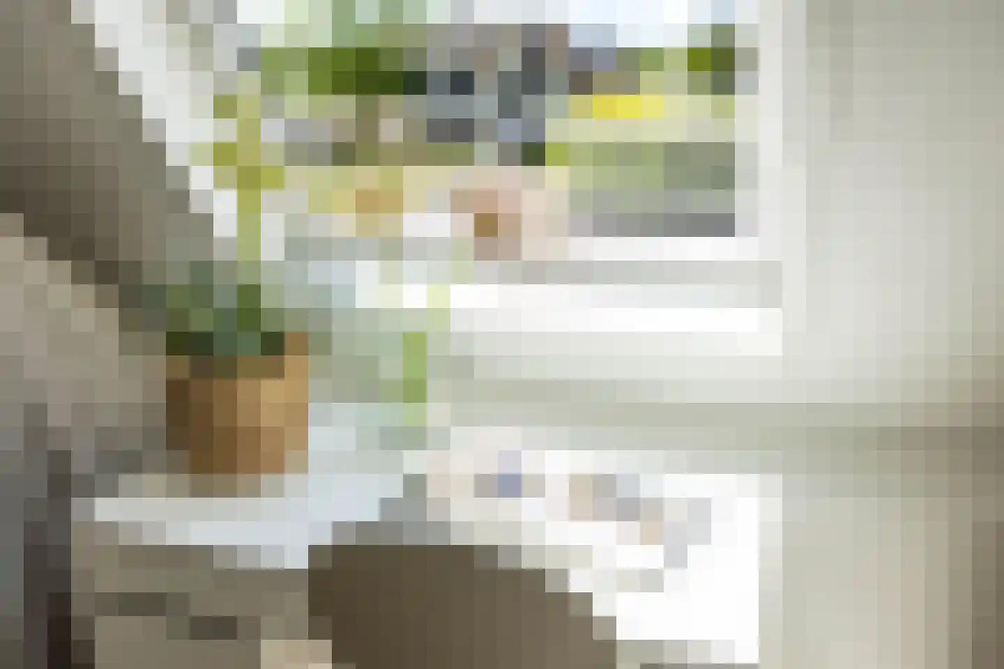 Braamstukken 82 Eelde thumbnail 43