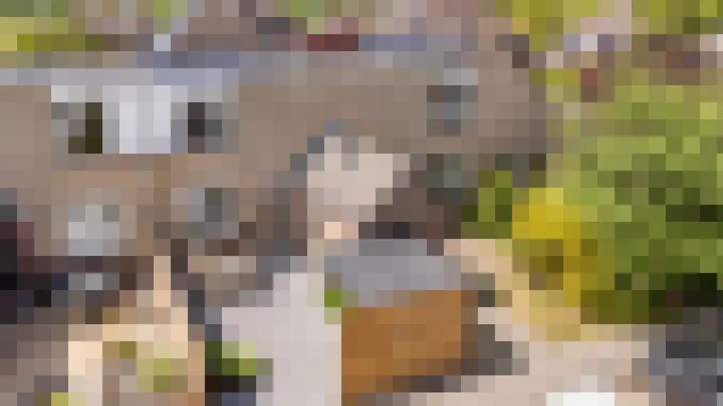 Braamstukken 82 Eelde thumbnail 54
