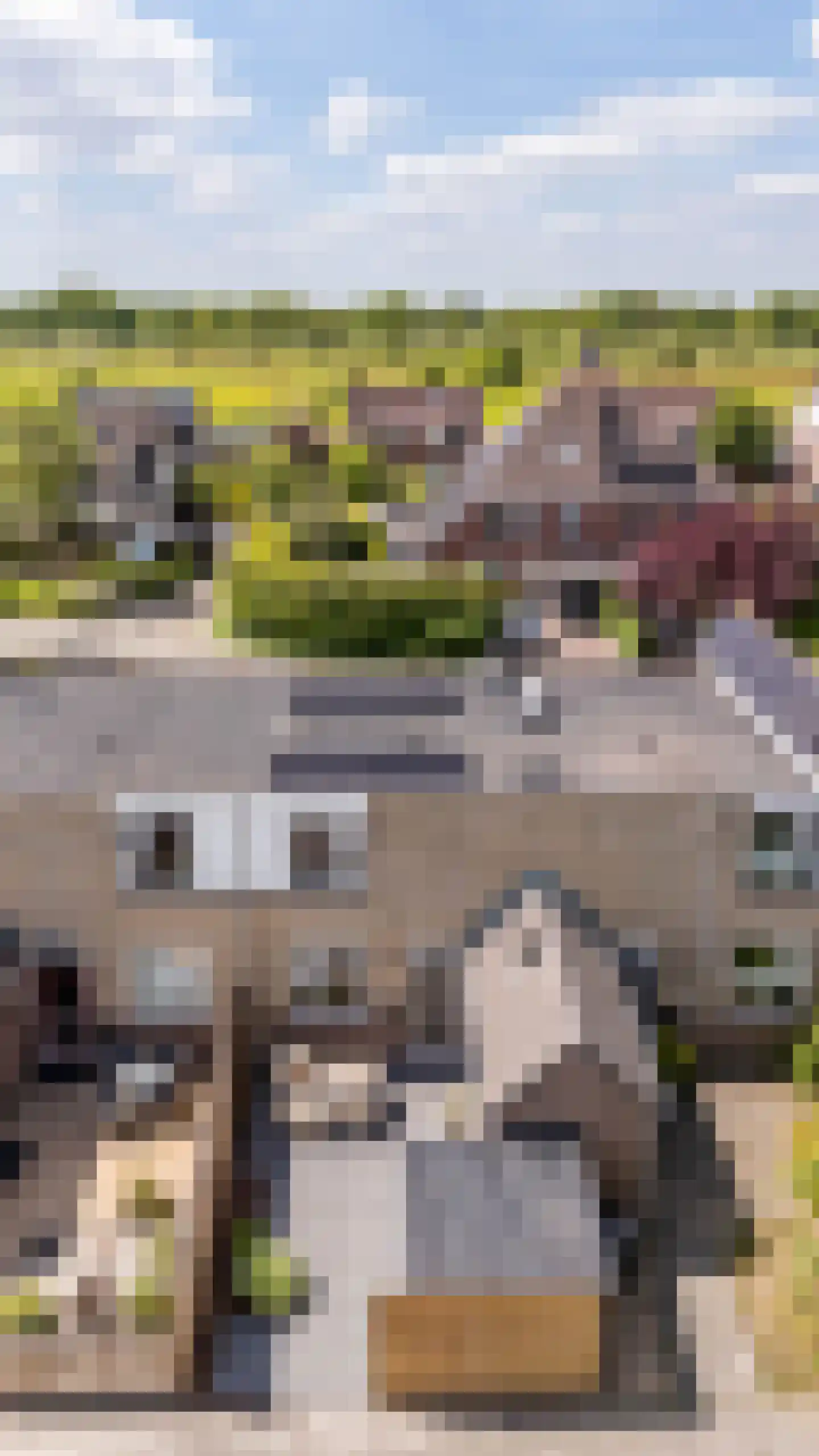 Braamstukken 82 Eelde thumbnail 55