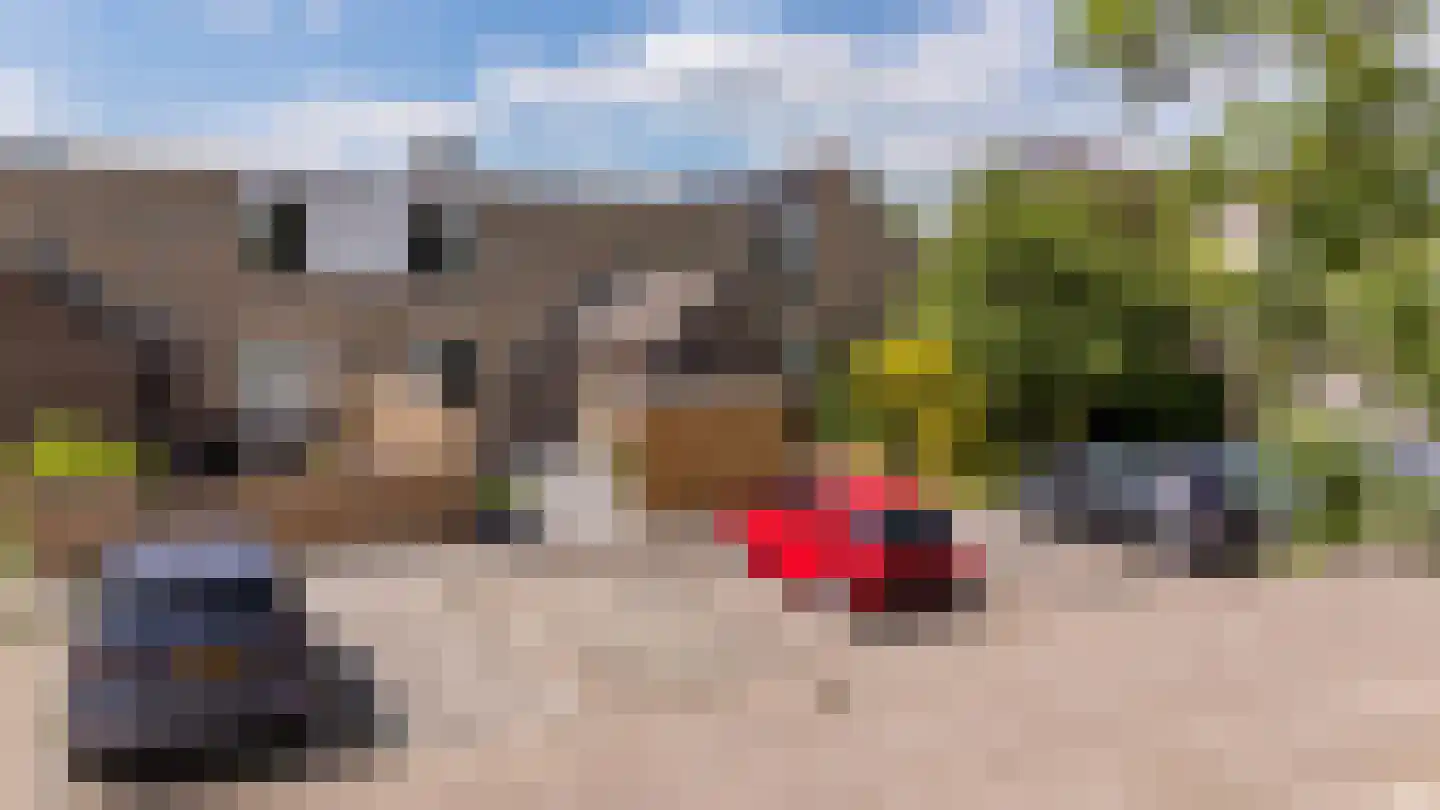Braamstukken 82 Eelde thumbnail 57