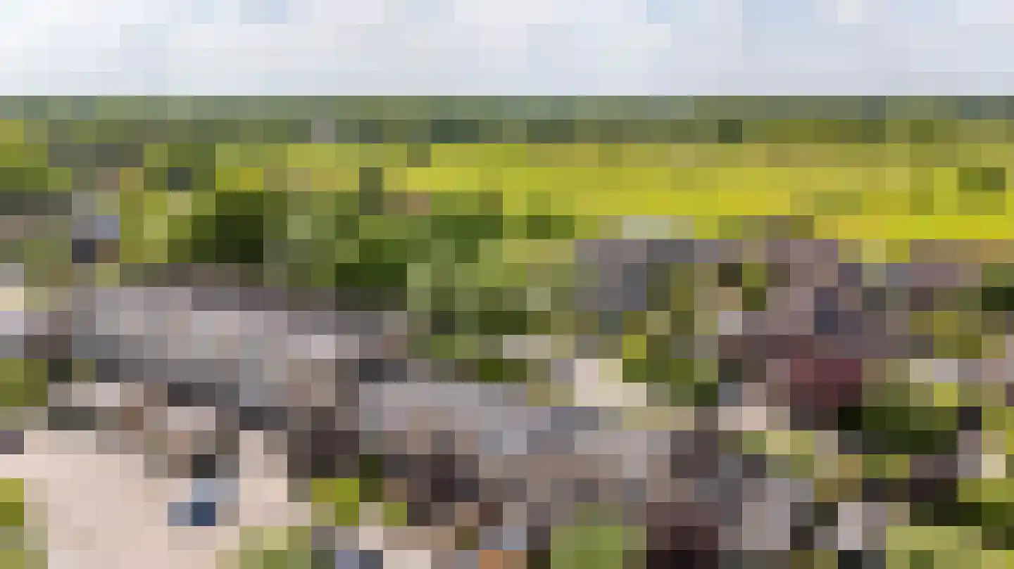 Braamstukken 82 Eelde thumbnail 58