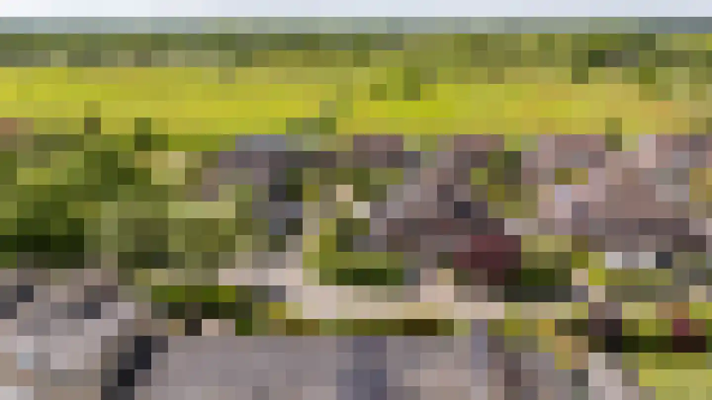 Braamstukken 82 Eelde thumbnail 59