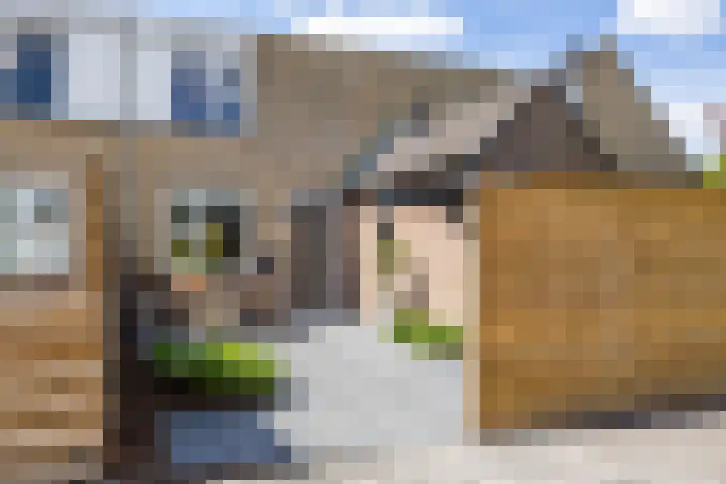 Braamstukken 82 Eelde thumbnail 6
