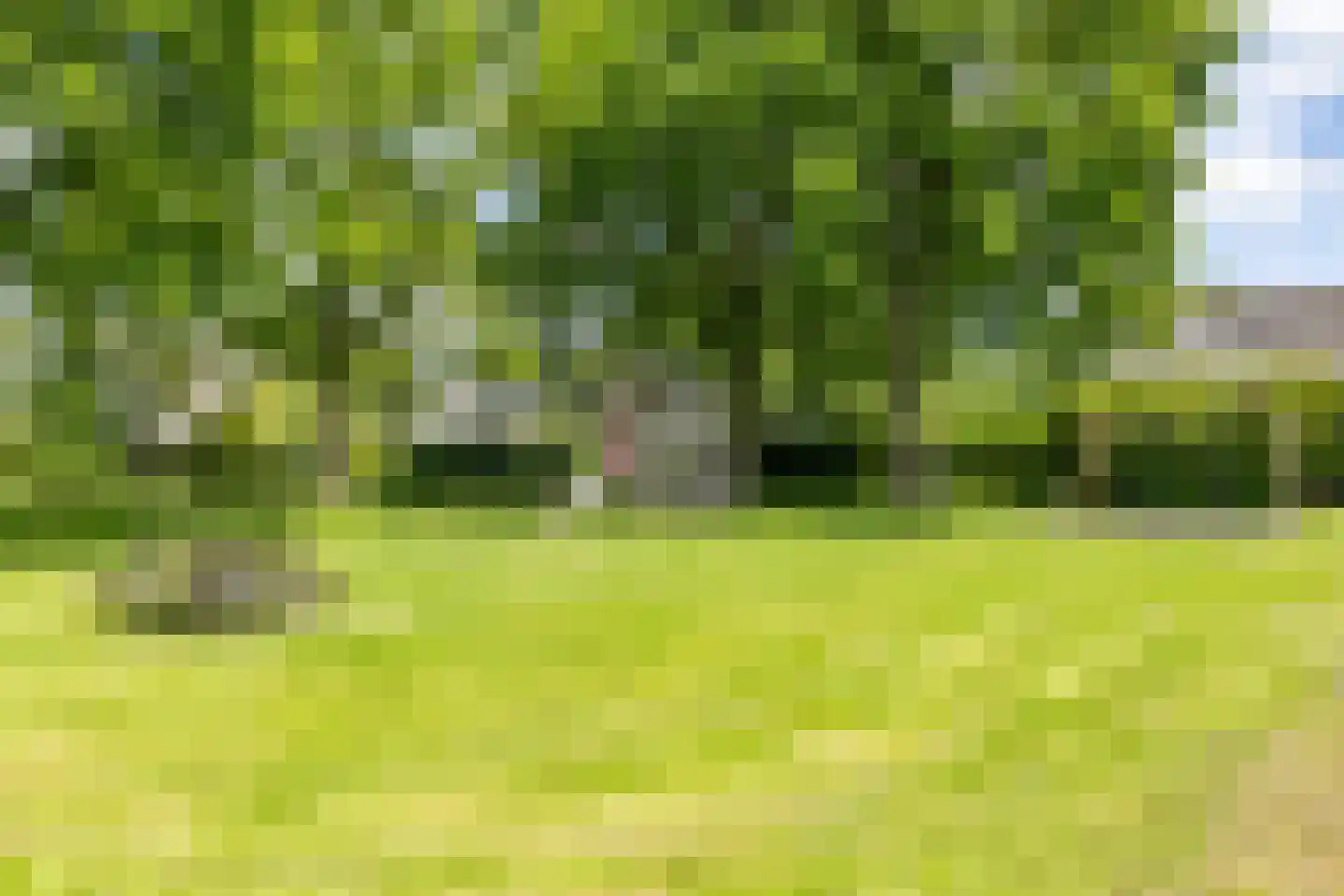 Braamstukken 82 Eelde thumbnail 60