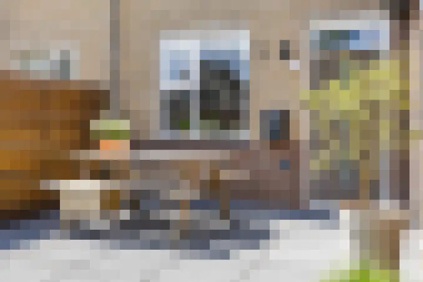 Braamstukken 82 Eelde thumbnail 7