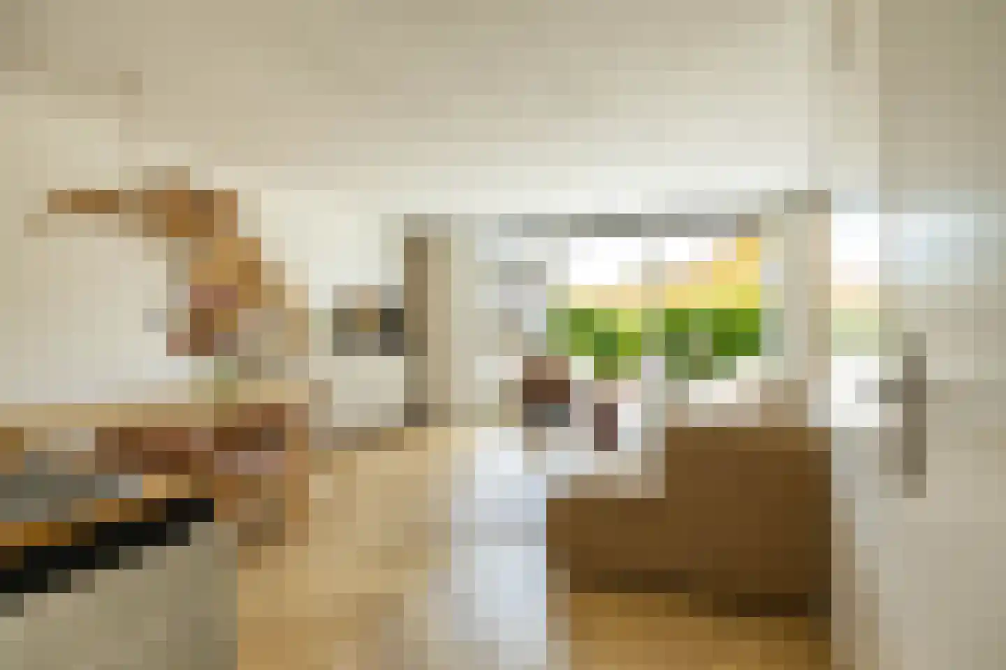 Braamstukken 82 Eelde thumbnail 9