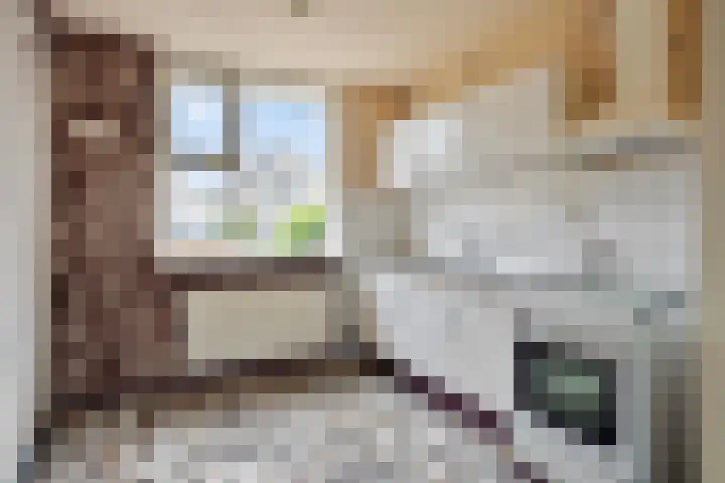 Braamstukken 84 Eelde thumbnail 10
