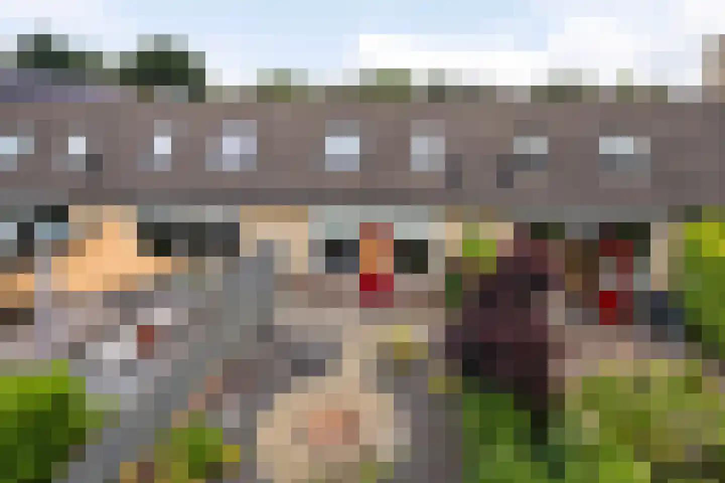Braamstukken 84 Eelde thumbnail 14