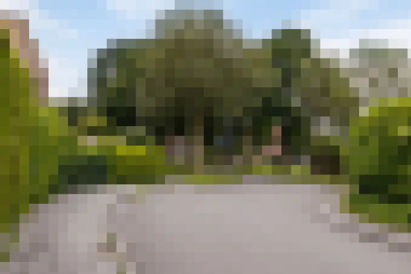 Braamstukken 84 Eelde thumbnail 29