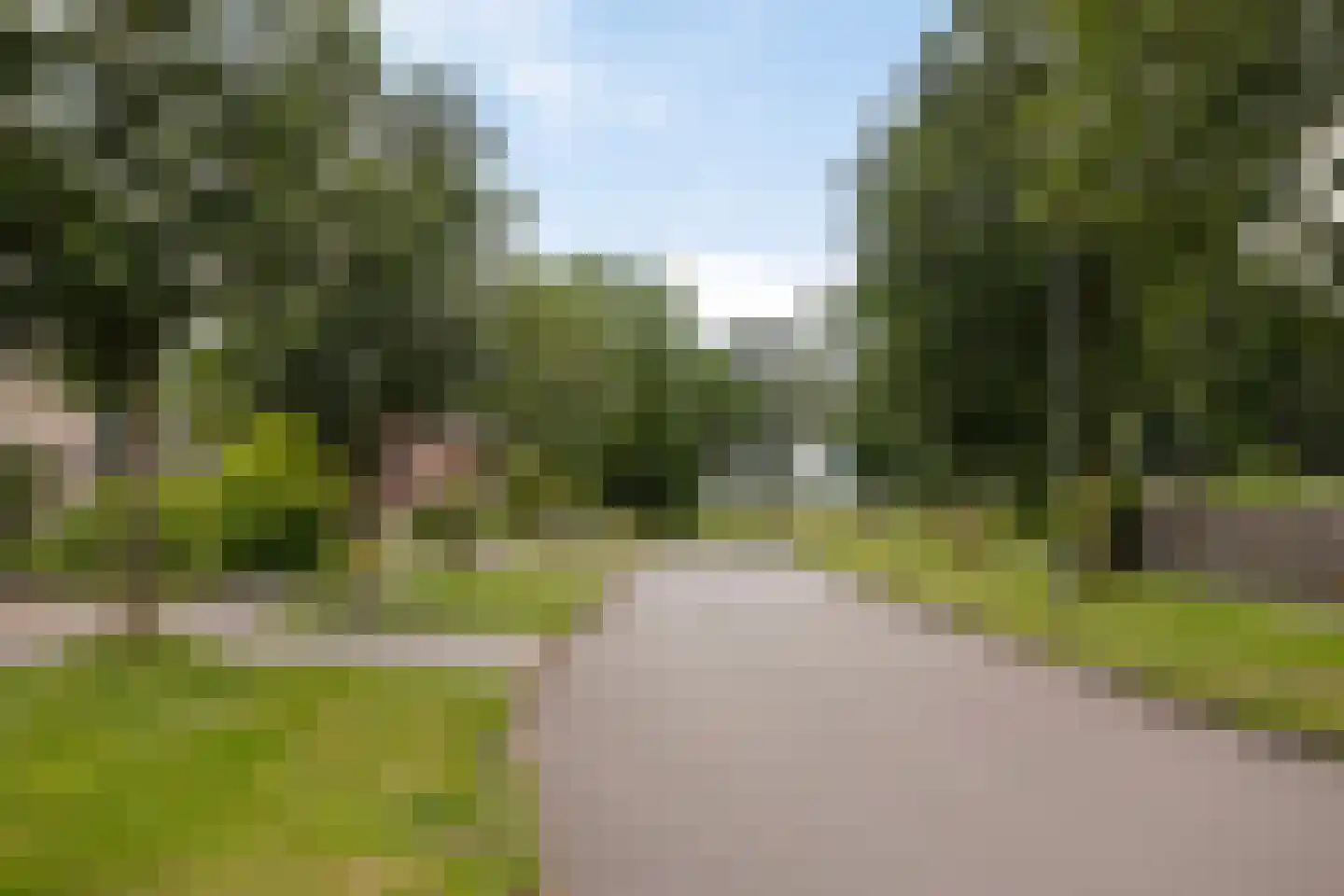 Braamstukken 84 Eelde thumbnail 30