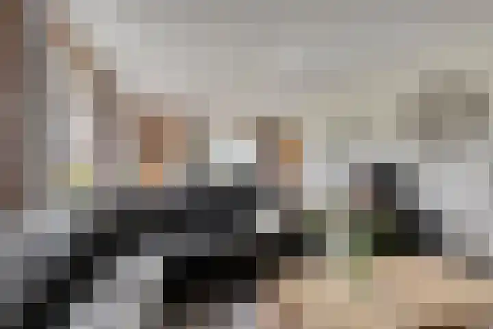Braamtseweg 4 Kilder thumbnail 10